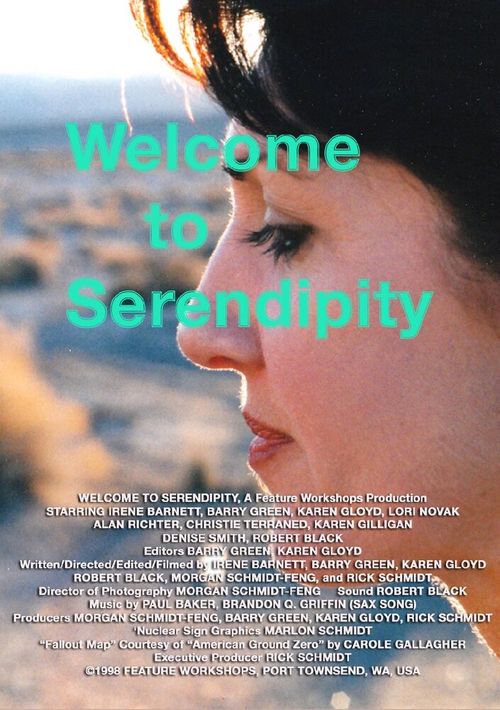 Welcome to Serendipity (1998) постер