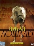 Дикая лошадь (1998) постер