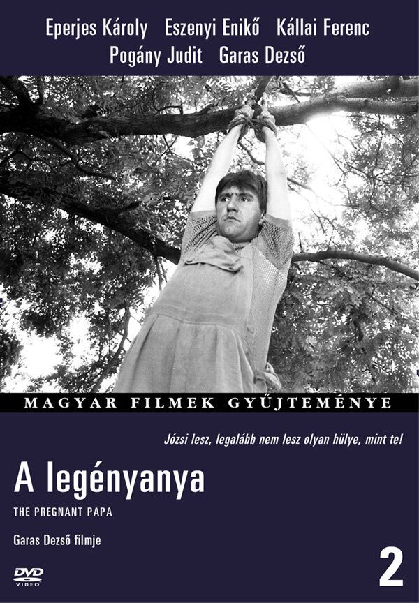 A legényanya (1989) постер