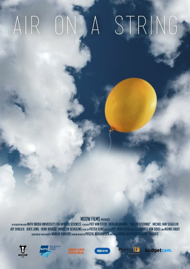 Air on a String (2013) постер