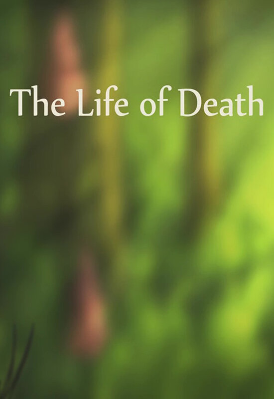 The Life of Death (2012) постер